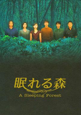 沉睡的森林 第12集